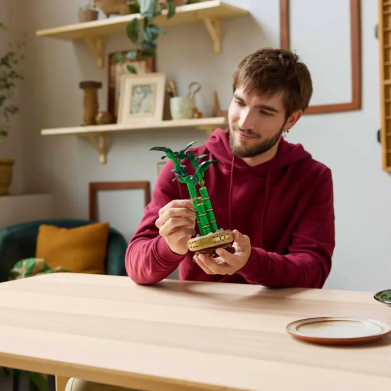 LEGO Botanicals Lucky Bamboo Building Toy (325-Pieces)