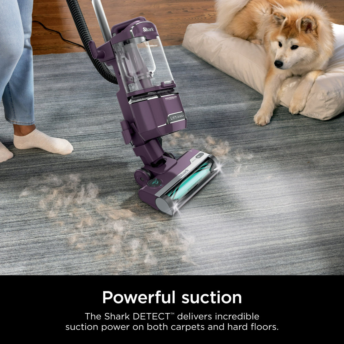 Shark Detect Lift-Away Upright Vacuum with Self-Cleaning Brushroll - Purple