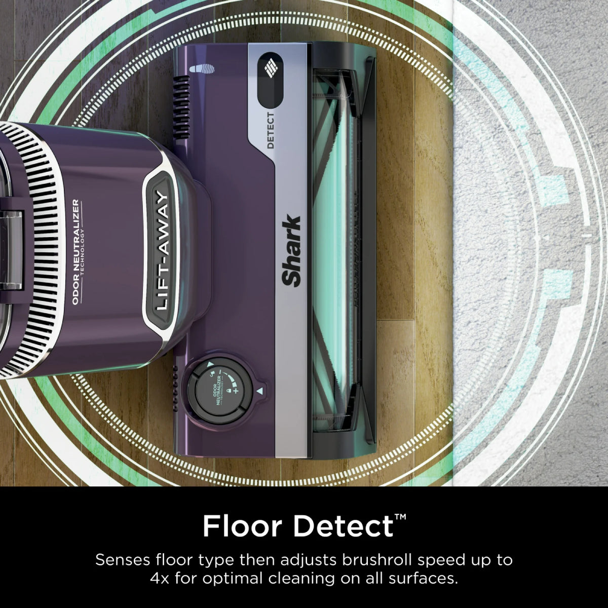 Shark Detect Lift-Away Upright Vacuum with Self-Cleaning Brushroll - Purple