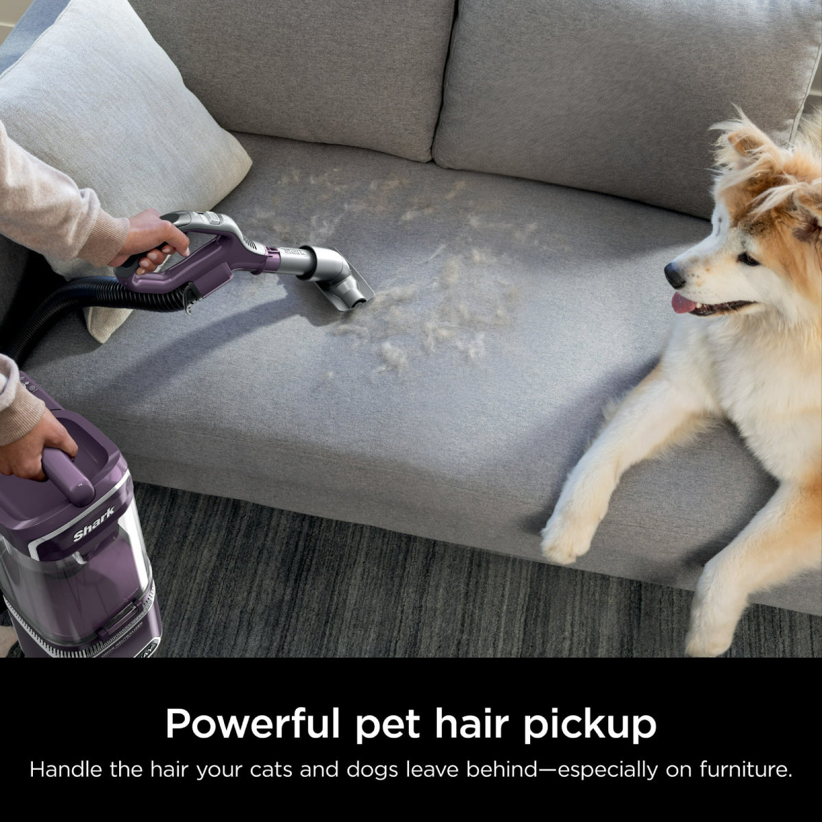 Shark Detect Lift-Away Upright Vacuum with Self-Cleaning Brushroll - Purple