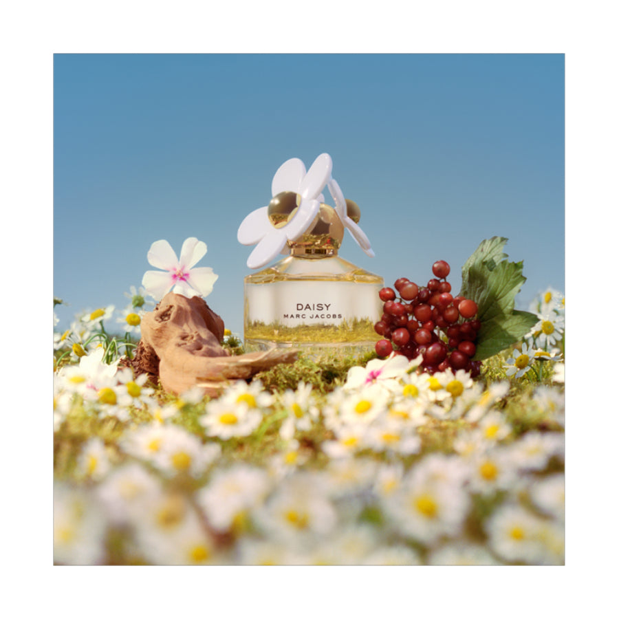 Marc Jacob Women's Daisy Coffret (4-Pieces) Eau de Parfum Set