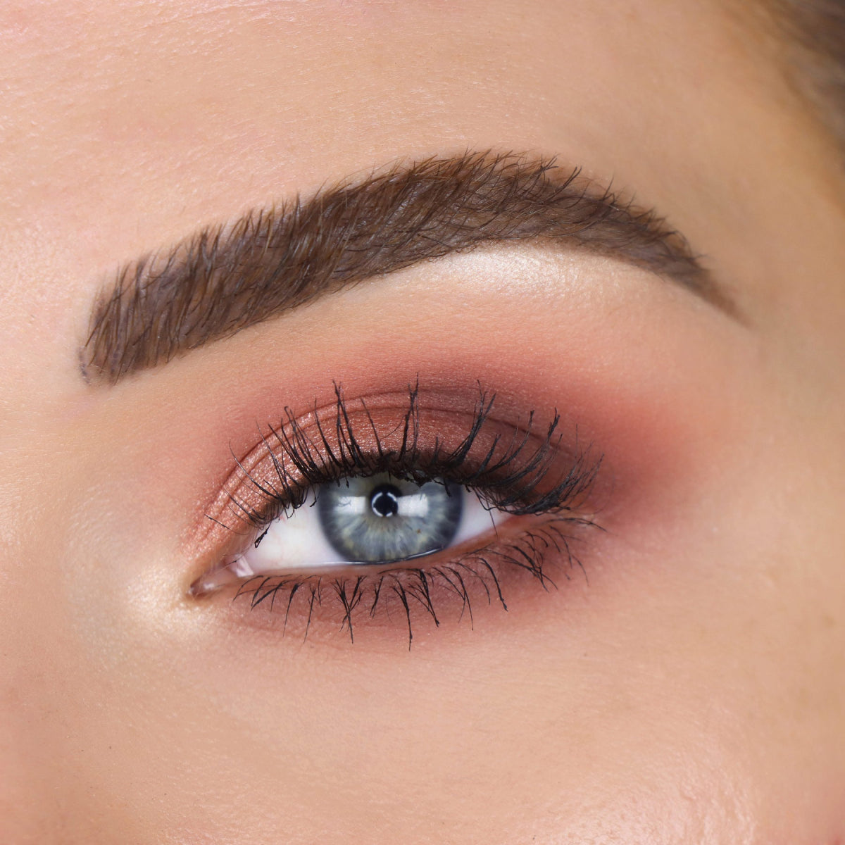 theBalm Male Order Domestic Eyeshadow Palette