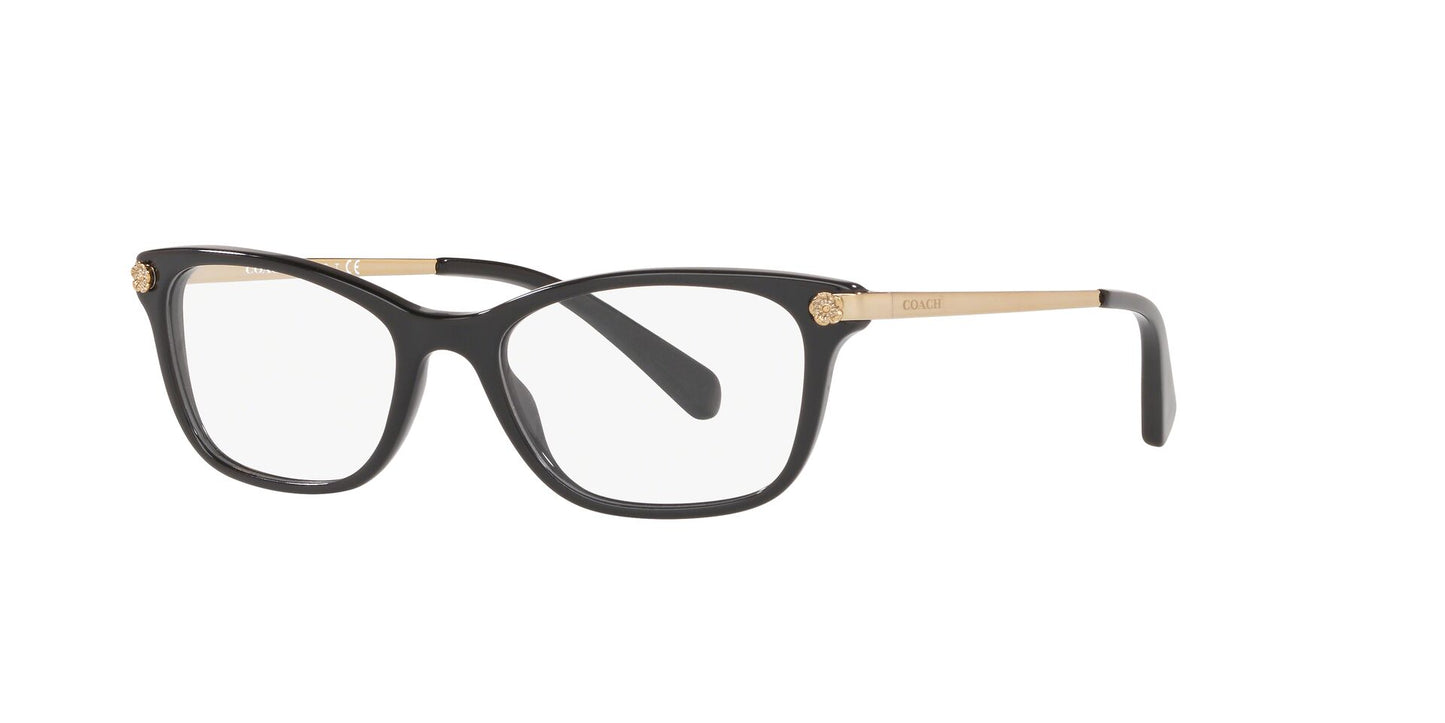 Coach Women's HC6142 Pillow Eyeglasses - Curacao