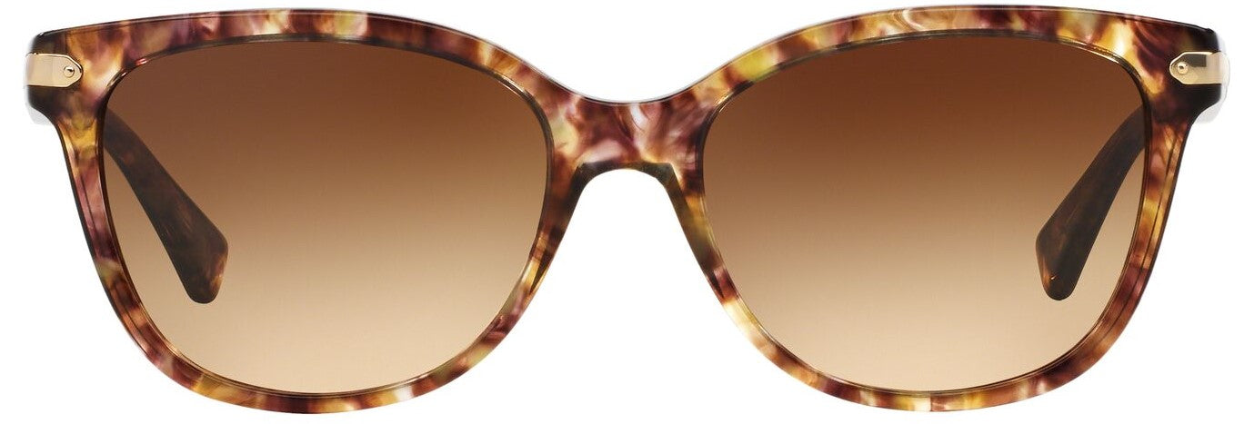 Coach HC8132 Sunglasses - Confetti Light Brown/Brown Gradient - Curacao
