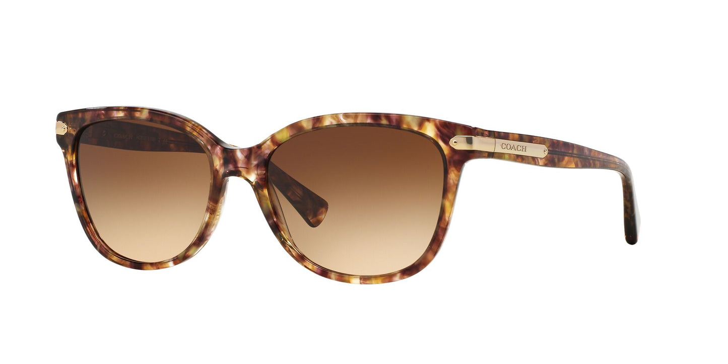 Coach HC8132 Sunglasses - Confetti Light Brown/Brown Gradient - Curacao