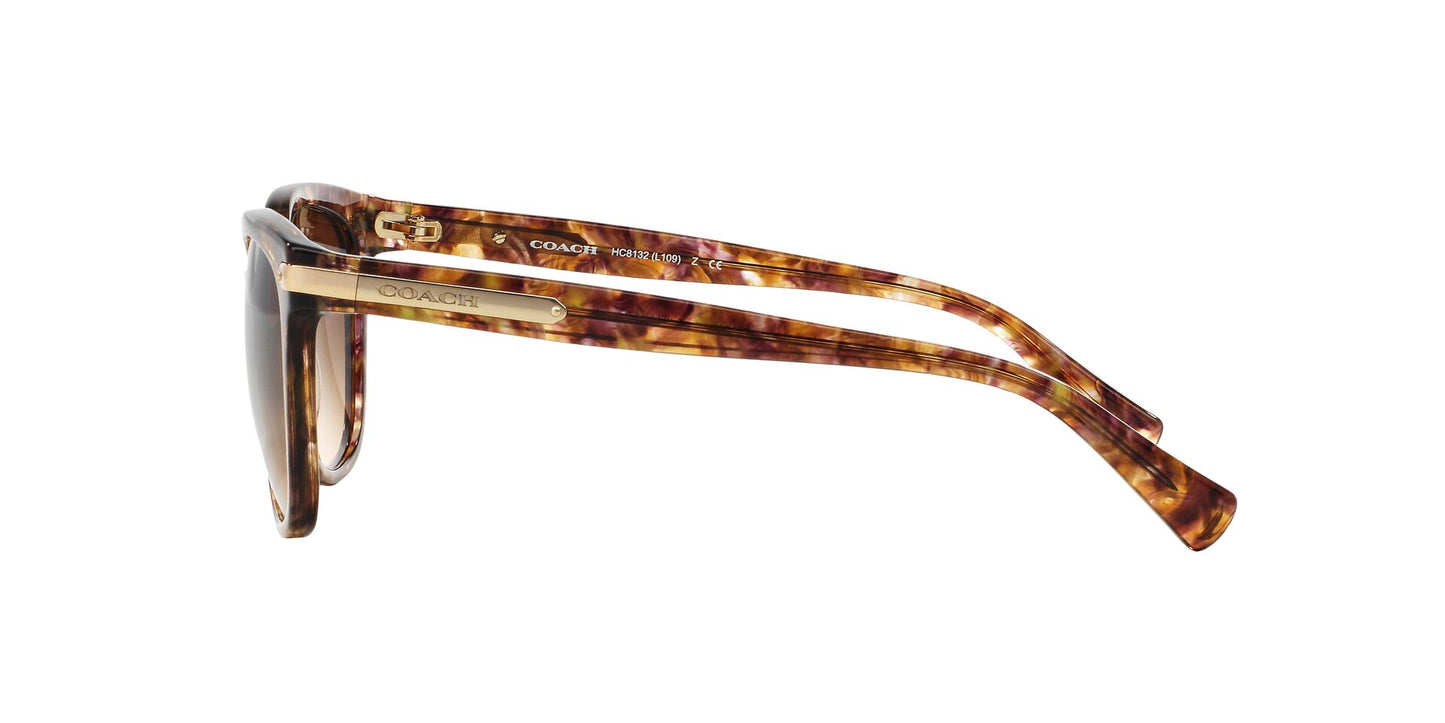 Coach HC8132 Sunglasses - Confetti Light Brown/Brown Gradient - Curacao
