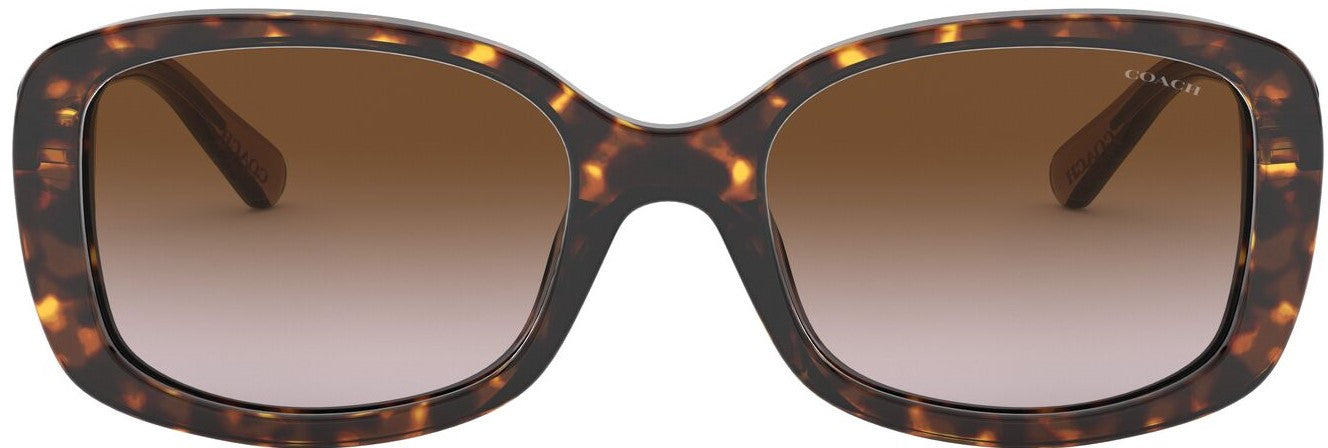 Coach HC8278 - Women's Sunglasses Rectangle Acetate - Dark Tortoise - Curacao