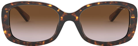 Coach HC8278 - Women's Sunglasses Rectangle Acetate - Dark Tortoise - Curacao