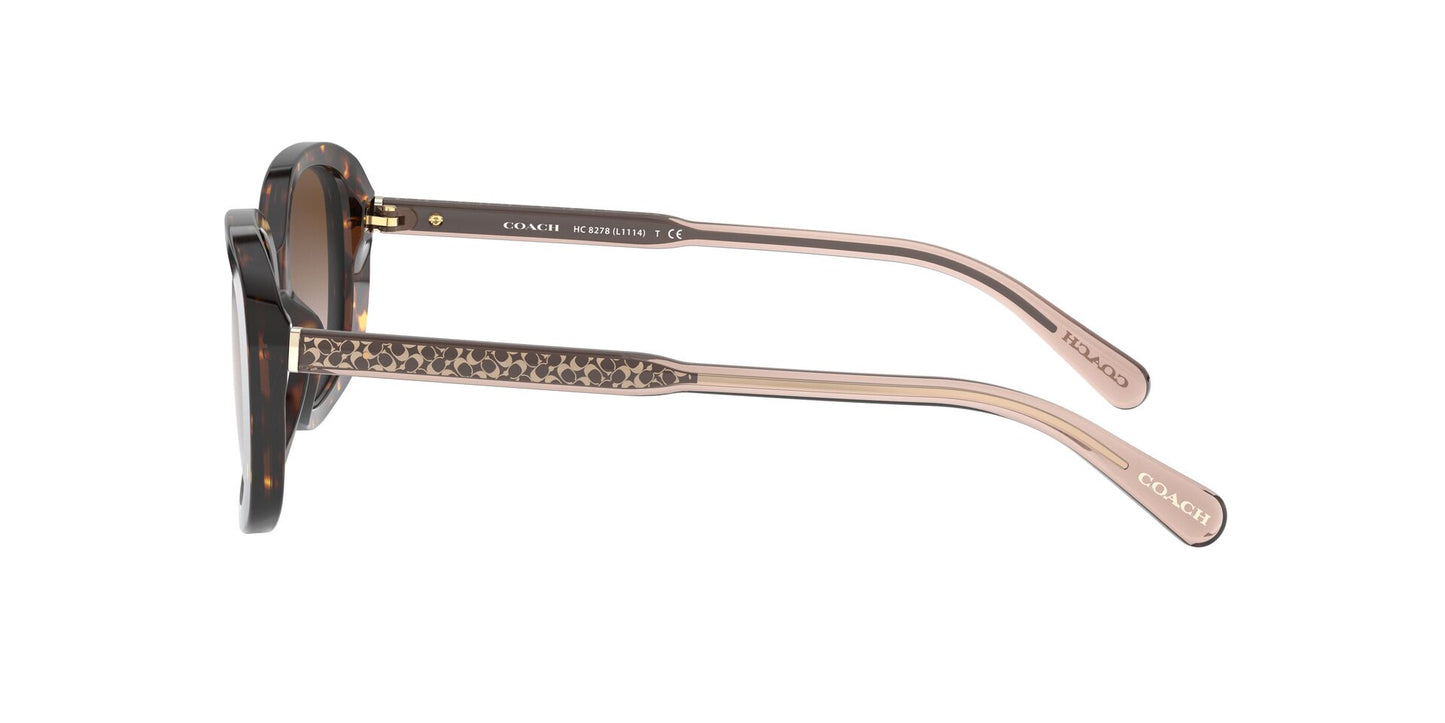 Coach HC8278 - Women's Sunglasses Rectangle Acetate - Dark Tortoise - Curacao