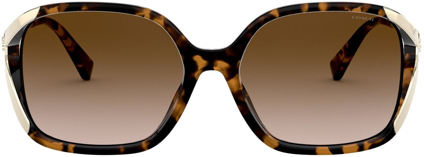 Coach Polarized Sunglasses in Dark Tortoise Sunglasses Coach HC8132 L109 | Free Shipping | Glasses.com® main image 2