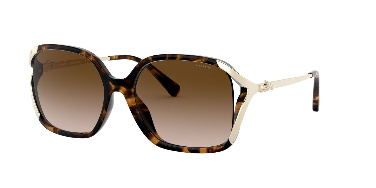 Coach Women's Sunglasses Square - Brown Gradient Polarized/Dark Tortoise - Curacao