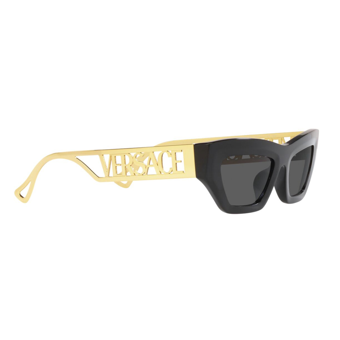 Versace Women's VE4432U Cat Eye Standard Sunglasses