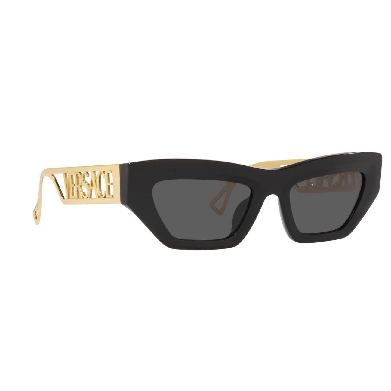 Versace Women's VE4432U Cat Eye Standard Sunglasses
