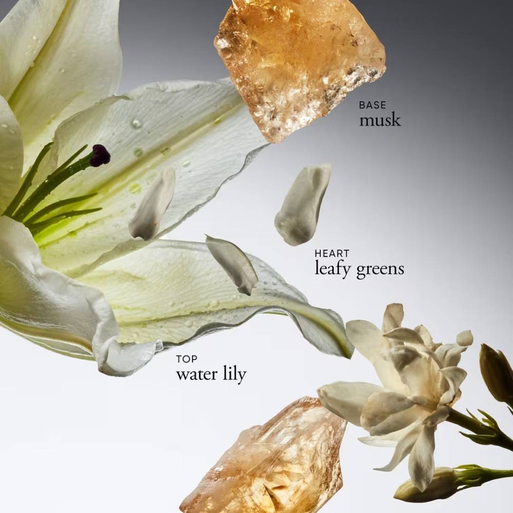 Philosophy Pure Grace (3 Piece) Eau De Toilette Holiday Gift Set