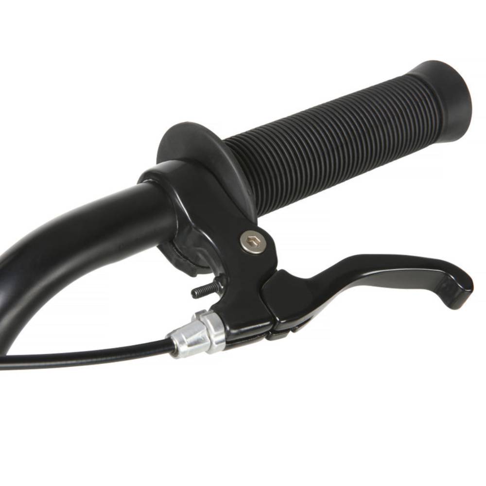 Dynacraft 20" Tony Hawk Kid's BMX Bike - Green/Black