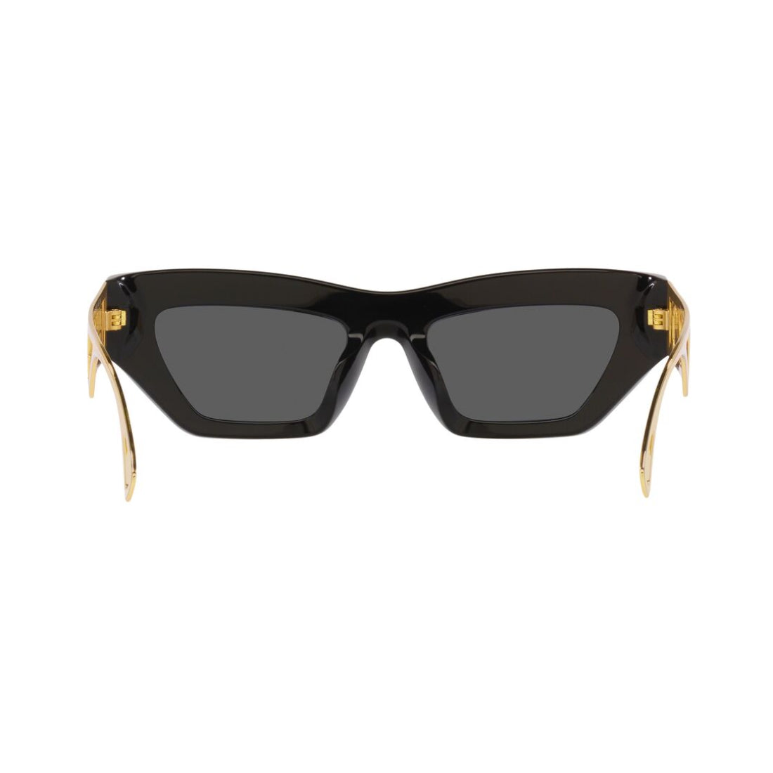 Versace Women's VE4432U Cat Eye Standard Sunglasses