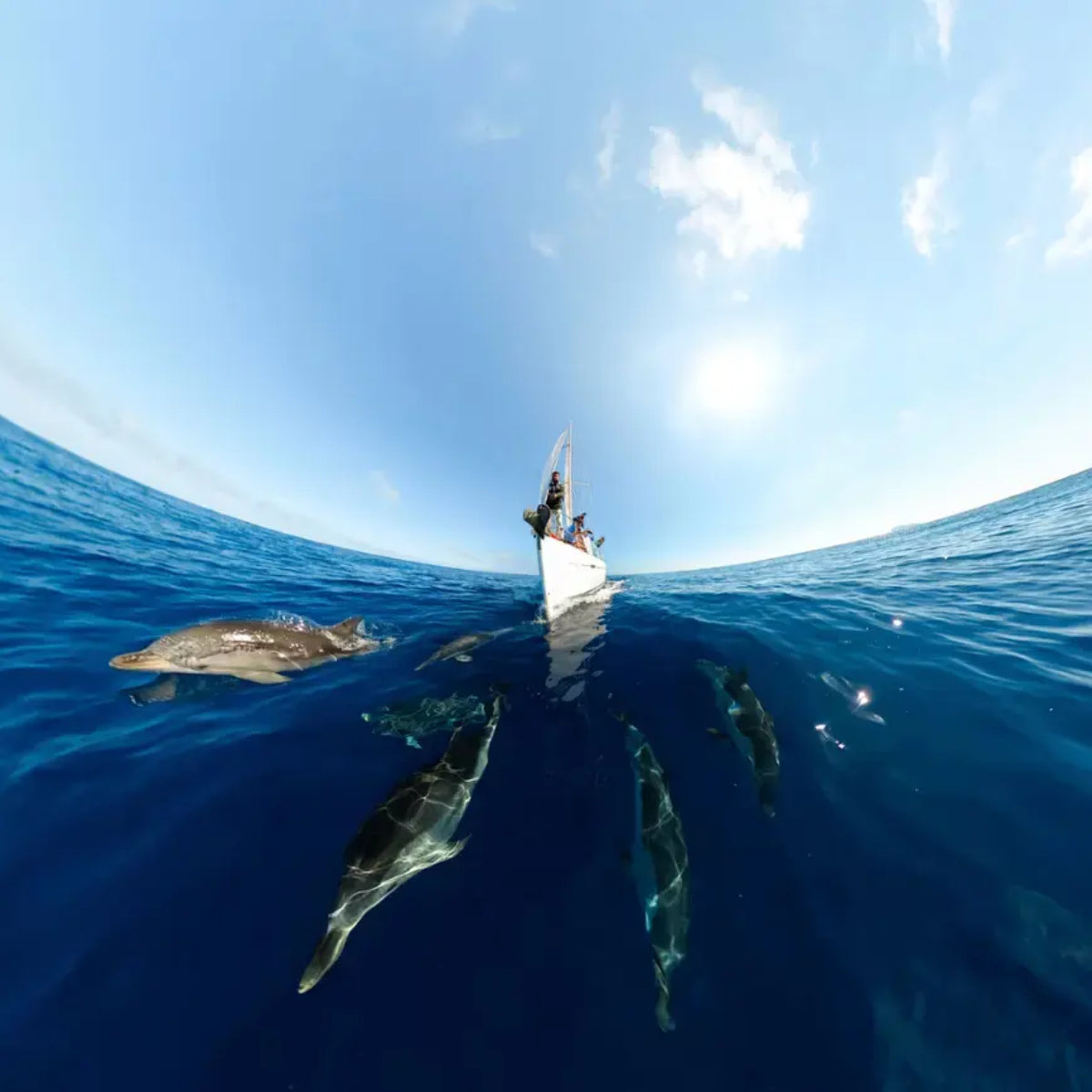 GoPro CHDHZ/203/TH MAX 360 HD Video Action Camera with HyperSmooth Digital Stabilization - Black