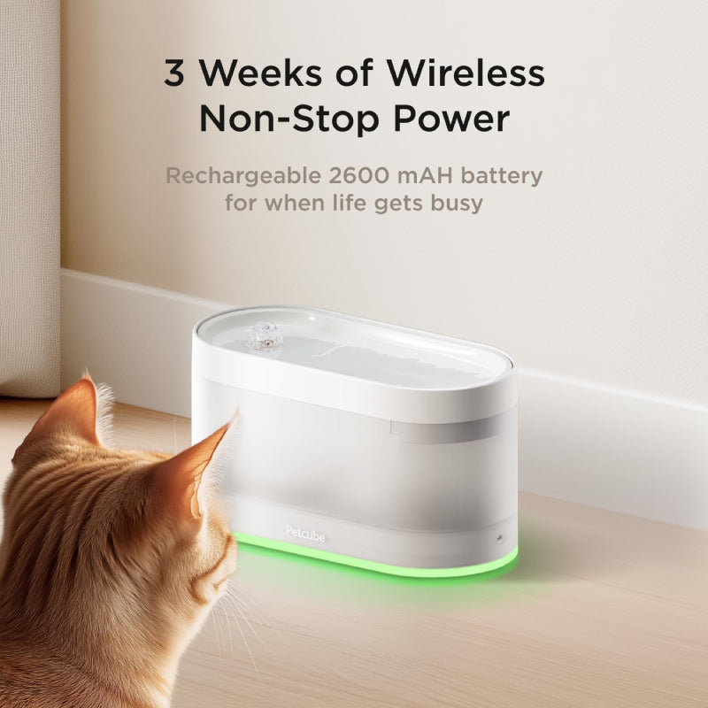 Petcube Automatic Wireless Pet Water Fountain with 4-Layer Filtration - White