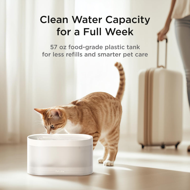 Petcube Automatic Wireless Pet Water Fountain with 4-Layer Filtration - White