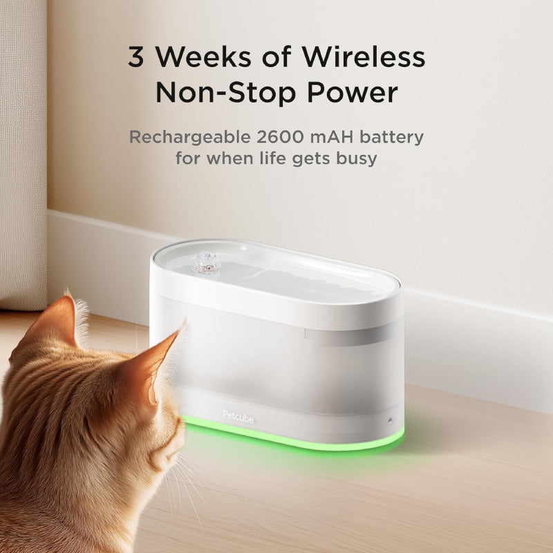 Petcube Automatic Wireless Pet Water Fountain with 4-Layer Filtration - White