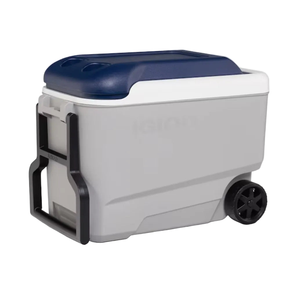 Nevera portátil Igloo 00034814 Maxcold de 40 cuartos de galón, color gris ceniza