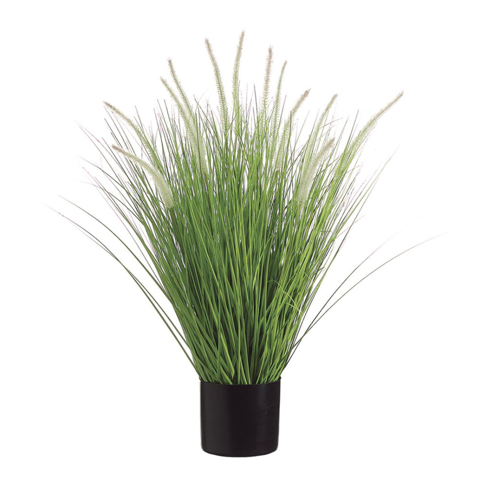 Allstate Floral 34" Dog Tail Onion Grass in Pot - Green/Cream