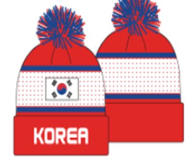 Icon Sports Korea World Cup Adult Unisex Beanie