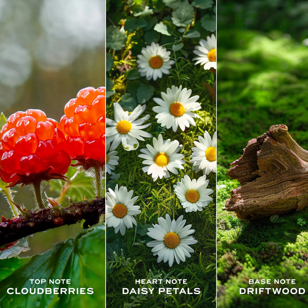 Marc Jacobs Daisy Love Women's (3 Piece) Eau De Toilette Gift Set