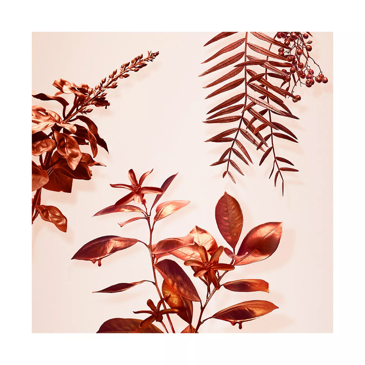 Tiffany &Co. Rose Gold Intense Women's 2.5 oz Eau de Parfum Spray