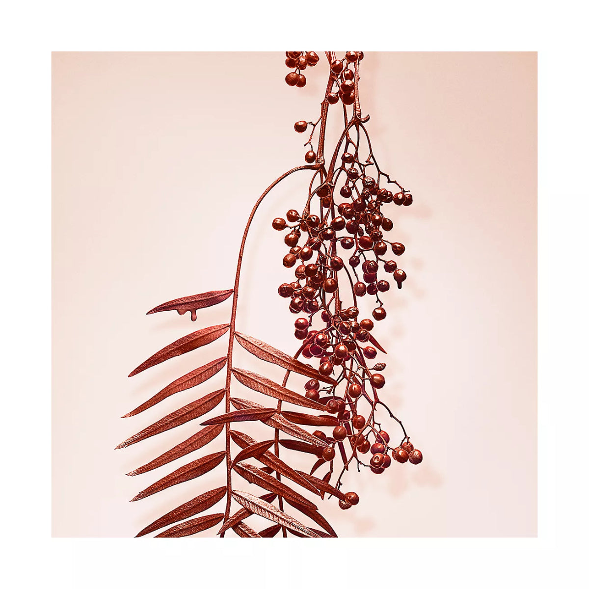 Tiffany &Co. Rose Gold Intense Women's 2.5 oz Eau de Parfum Spray