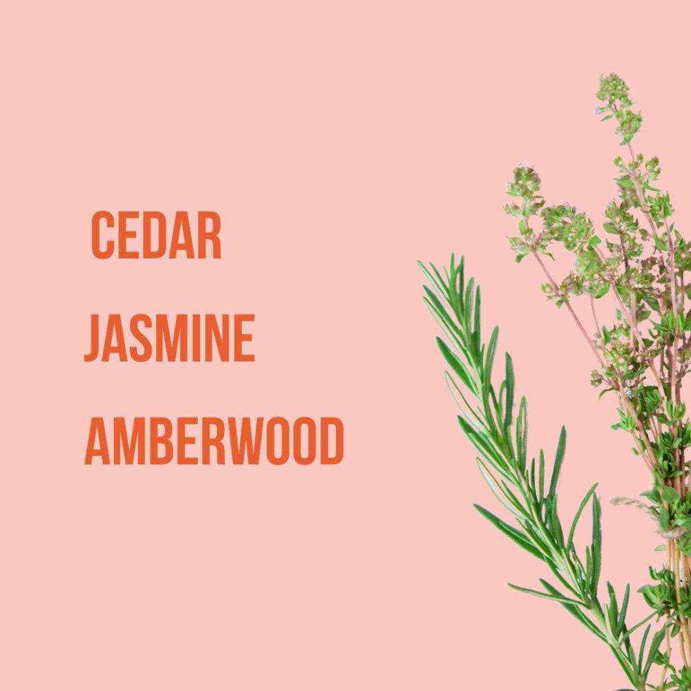 Beauty Creations 8.4oz Body Lotion