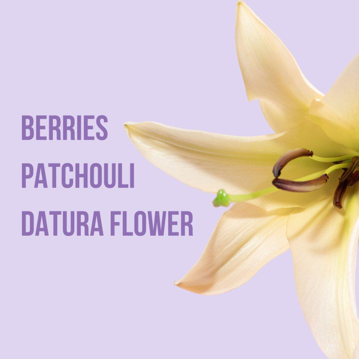 Beauty Creations 8.4oz Body Lotion