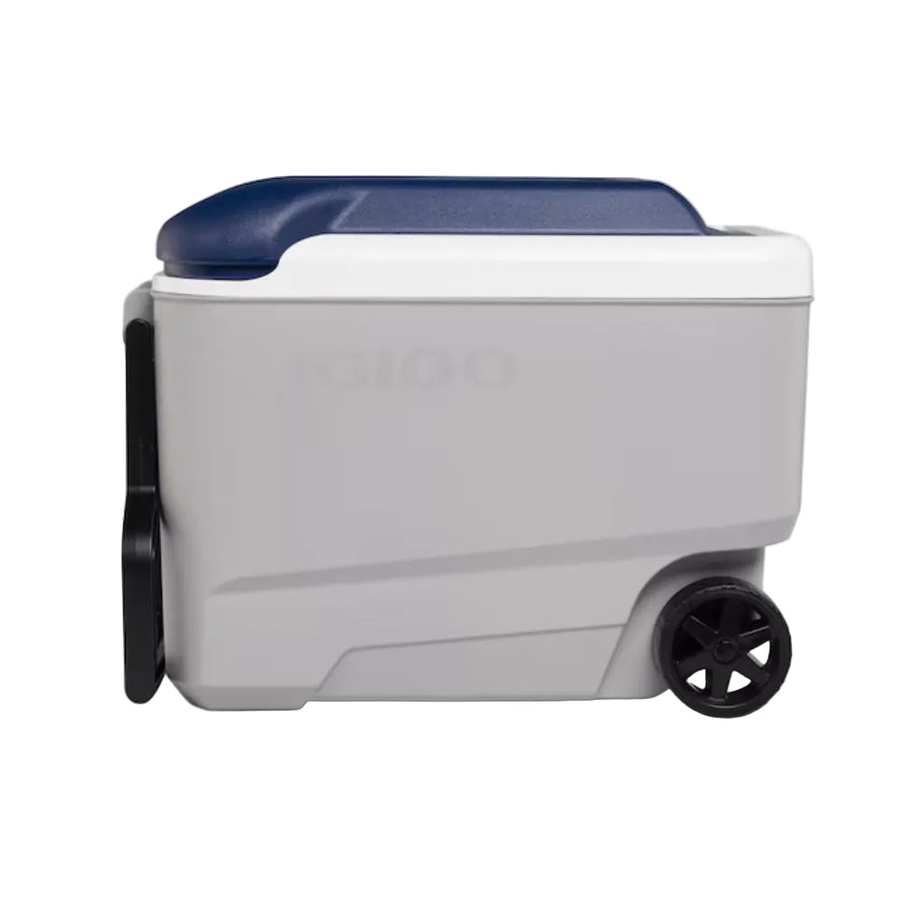 Nevera portátil Igloo 00034814 Maxcold de 40 cuartos de galón, color gris ceniza