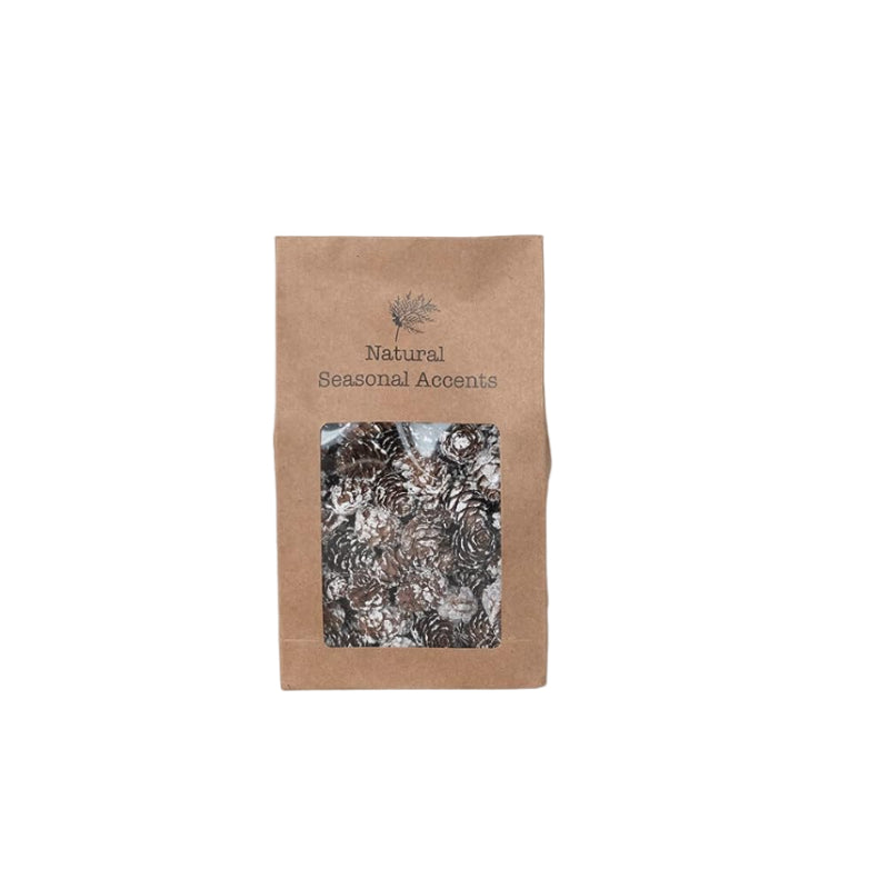 Creative Co-Op Dried Pinecones