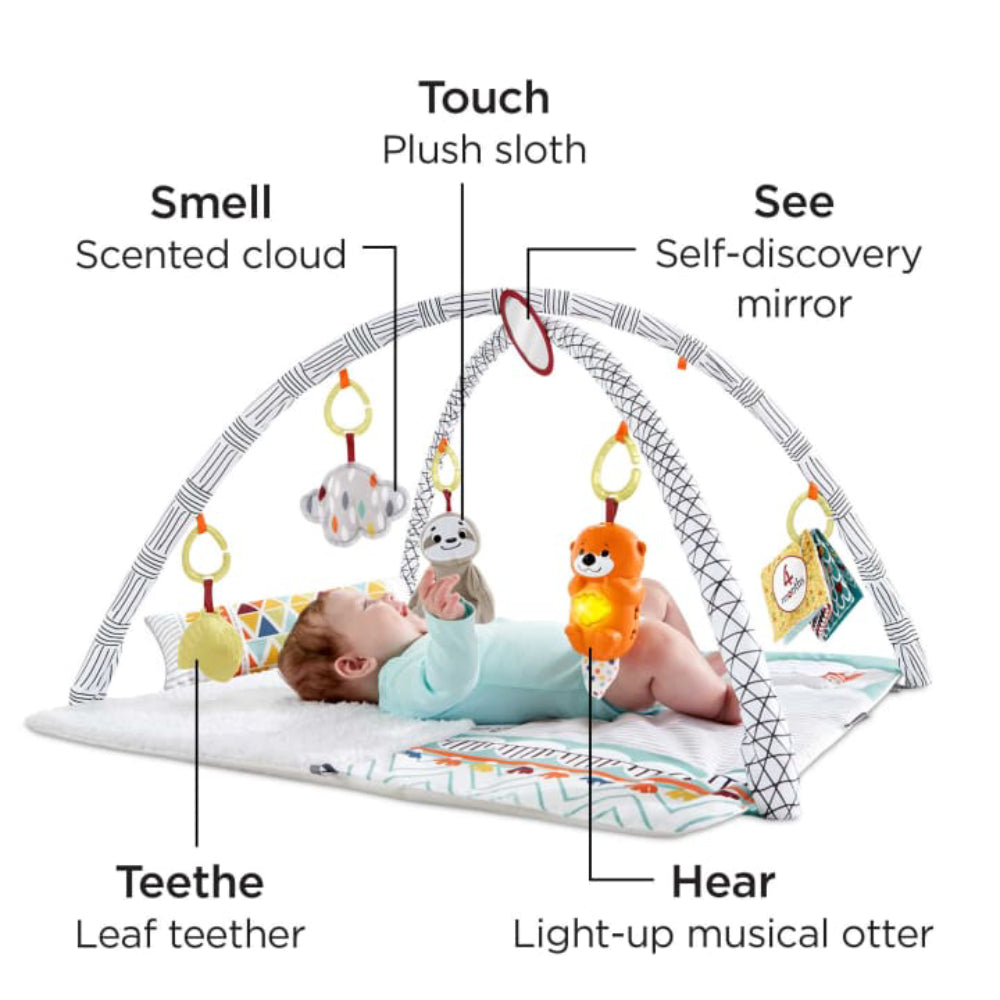 Fisher-Price Perfect Sense Deluxe Gym Baby Playmat with 6 Removable Activity Toys
