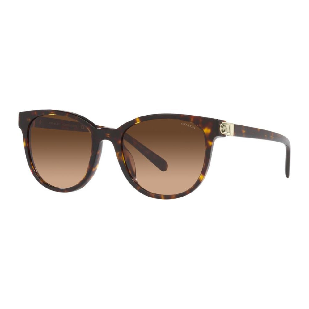 Gafas de sol redondas para mujer Coach, marrón degradado