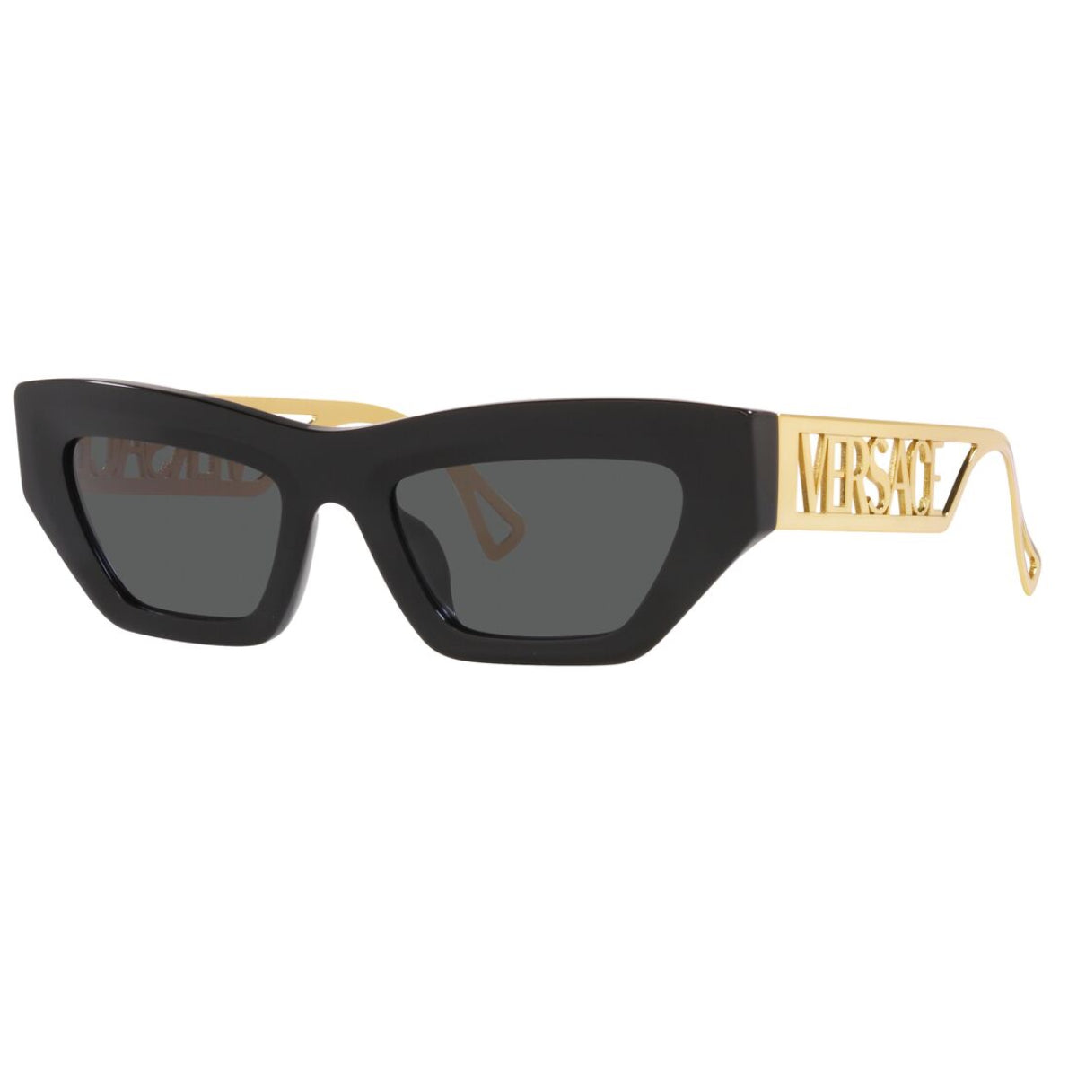 Versace Women's VE4432U Cat Eye Standard Sunglasses
