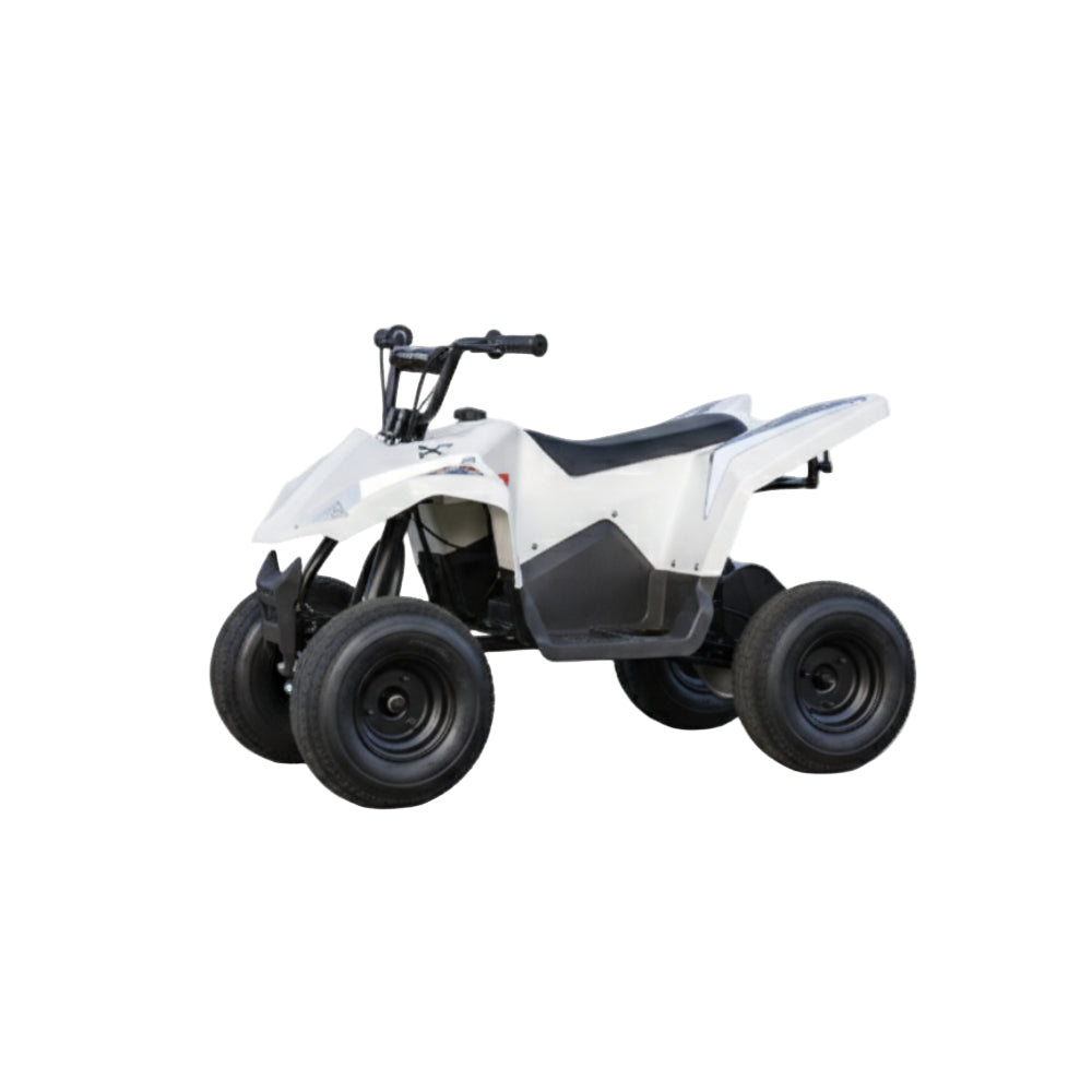 Hypergogo 36V Electric ATV