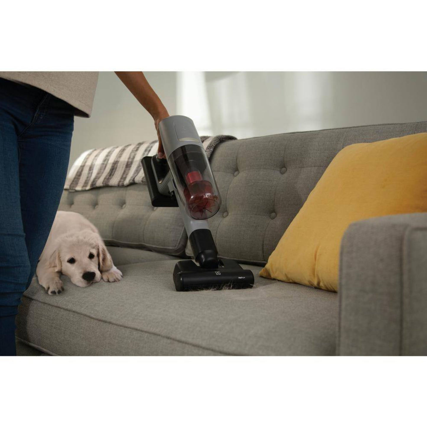 Electrolux EHVS85P3AG Ultimate800 Pet Cordless Stick Vacuum - Urban Gray