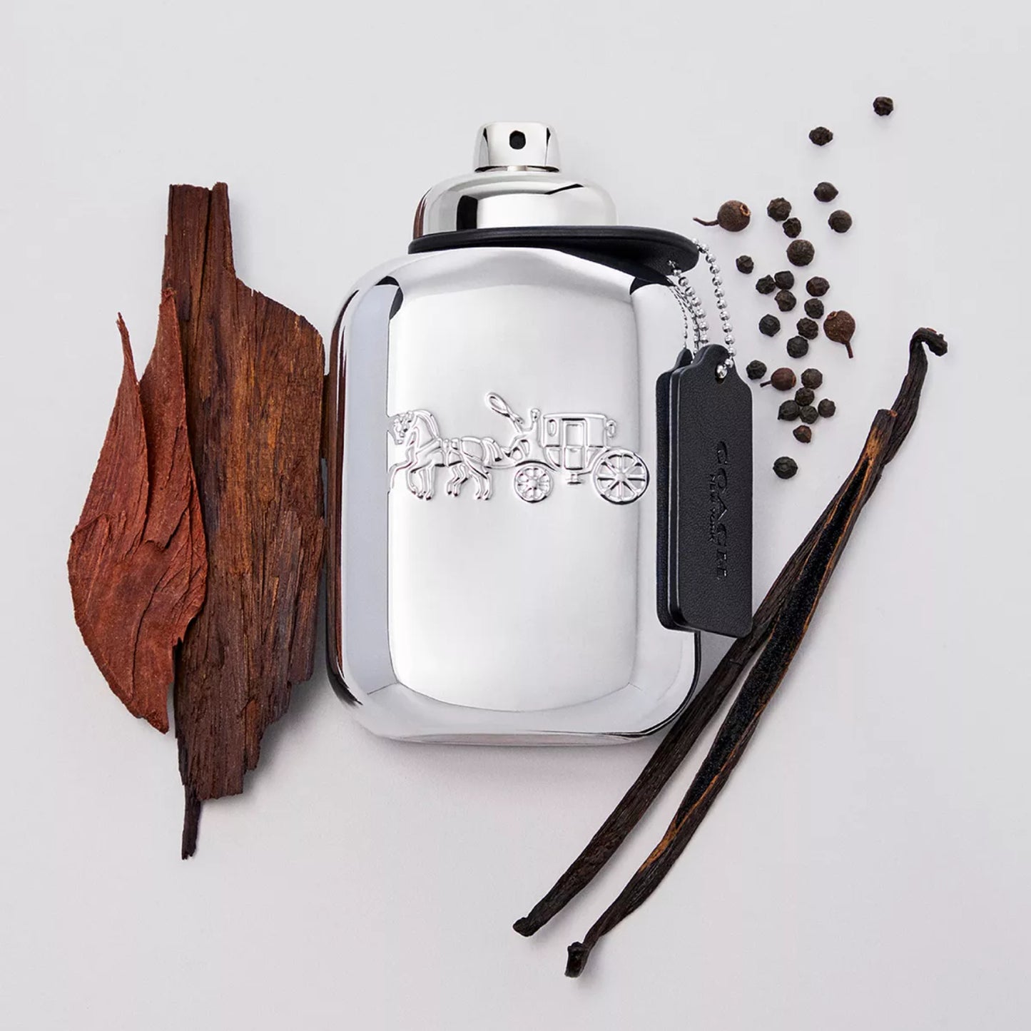 Coach Platinum Men's 6.7 oz Eau de Parfum