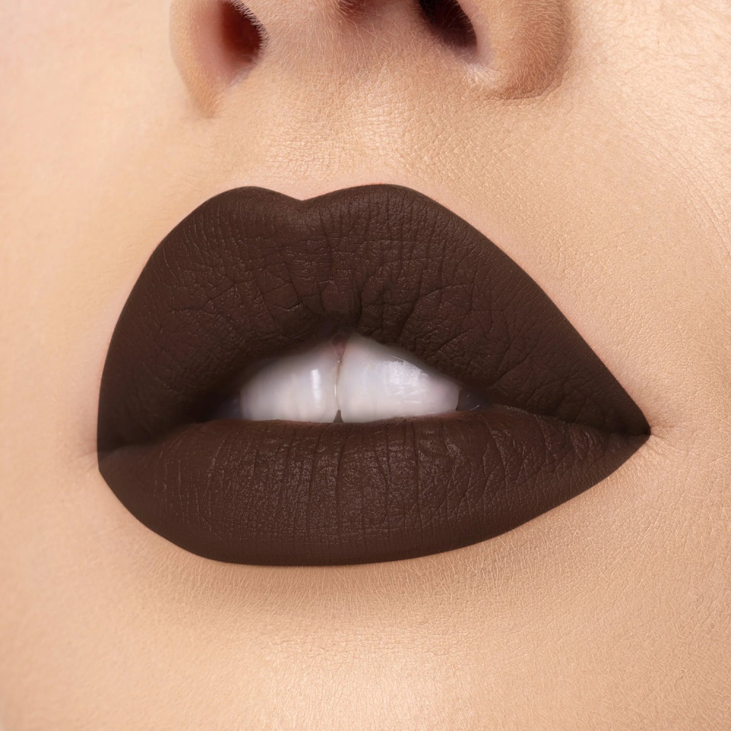 Lápiz labial Nude X de Beauty Creations, 0,13 oz, Casual Lover