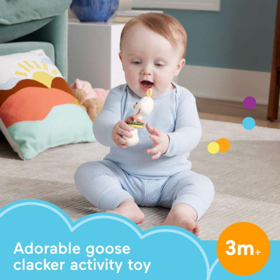 Juguete para bebé con actividad de motricidad fina Clack & Quack Goose de Fisher-Price, multicolor