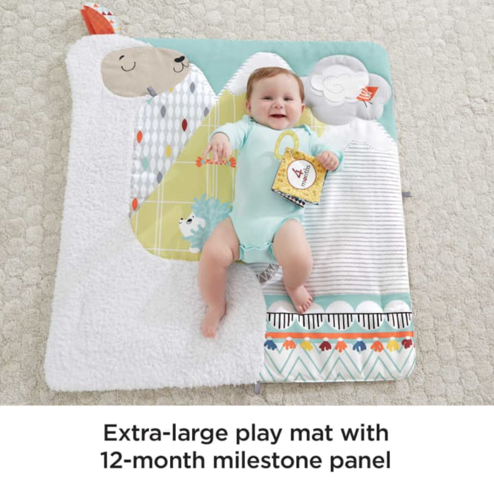 Fisher-Price Perfect Sense Deluxe Gym Baby Playmat with 6 Removable Activity Toys