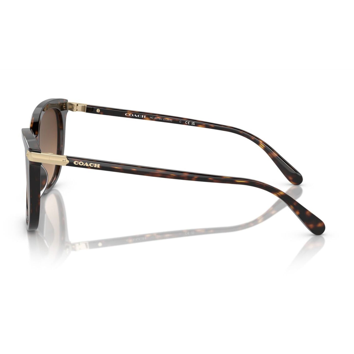 Coach Women's HC8378U51207 Cat Eye Gradient Sunglasses