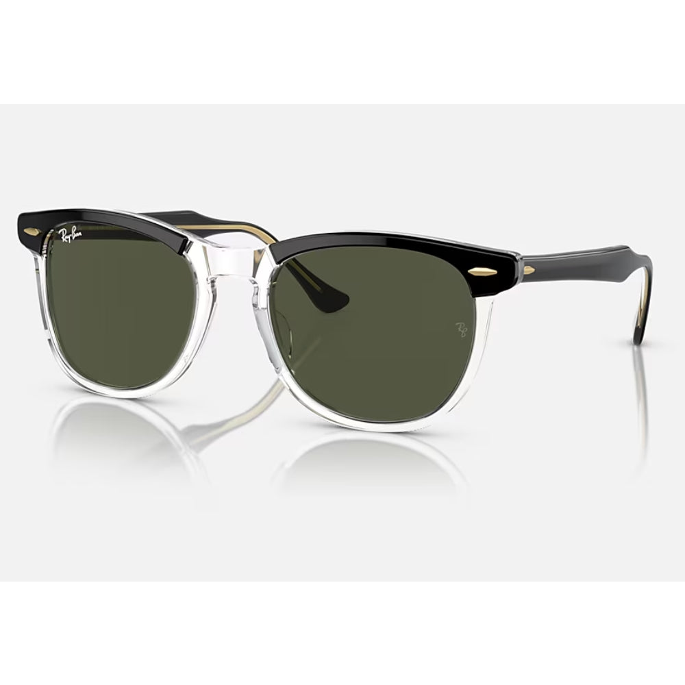 Gafas de sol clásicas unisex Ray-Ban Eagle Eye RB2398 Pillow
