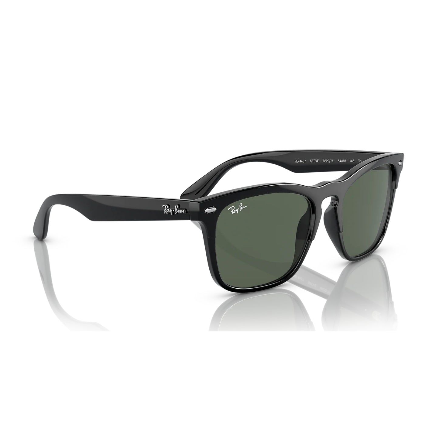 Ray-Ban Steve Unisex RB4487 Square Classic Sunglasses