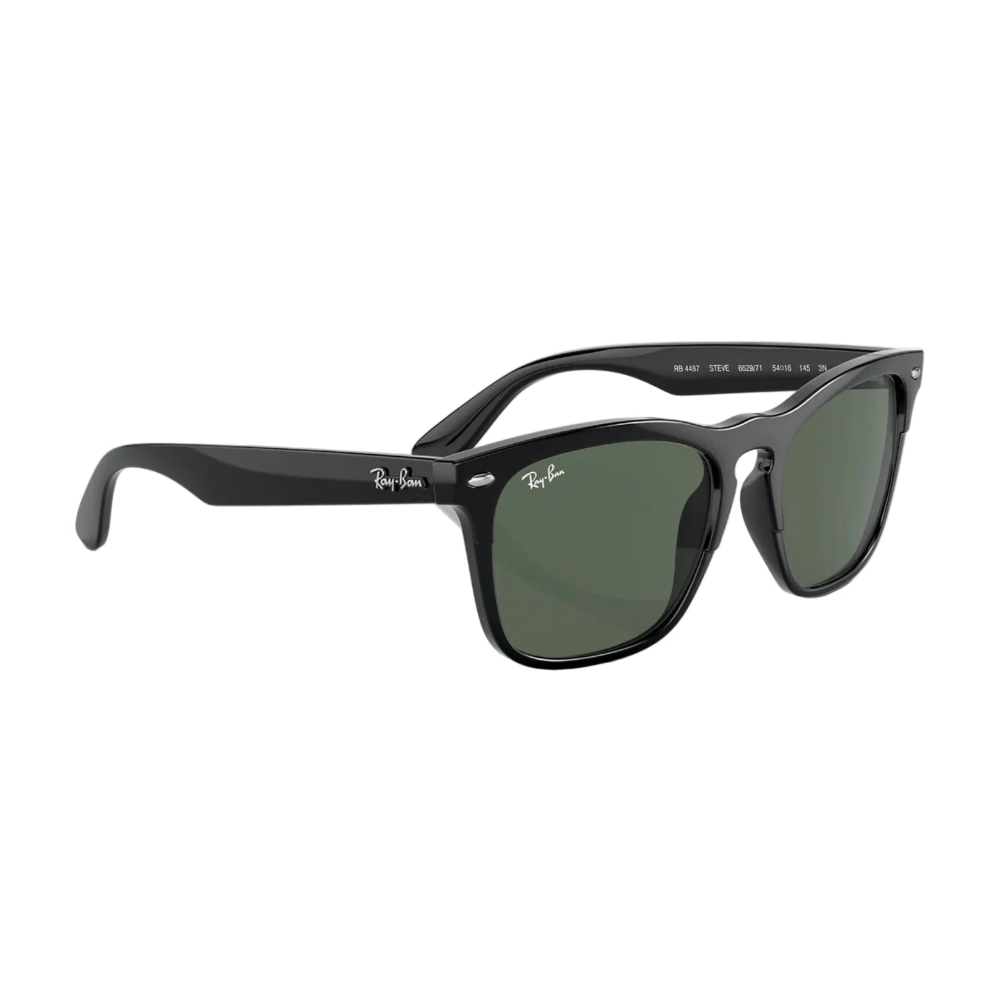 Ray-Ban Steve Unisex RB4487 Square Classic Sunglasses