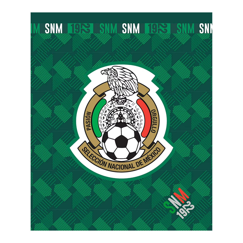 Silicon Valley 50" x 60" Mexico Borrego Lined Throw Blanket - Green