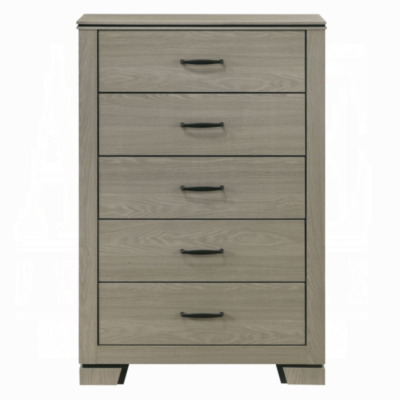 47" Joanna Chest by Acme Furniture - Gray