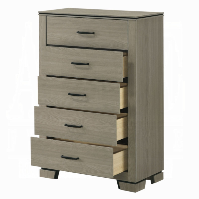 47" Joanna Chest by Acme Furniture - Gray